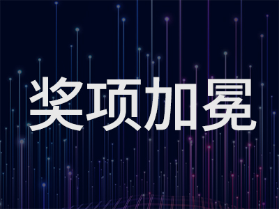 集成商峰会，两奖加冕！
