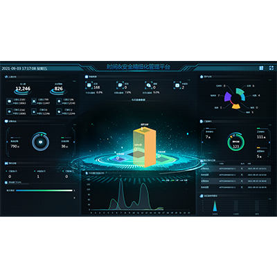 客户端软件E-ZKEco Pro